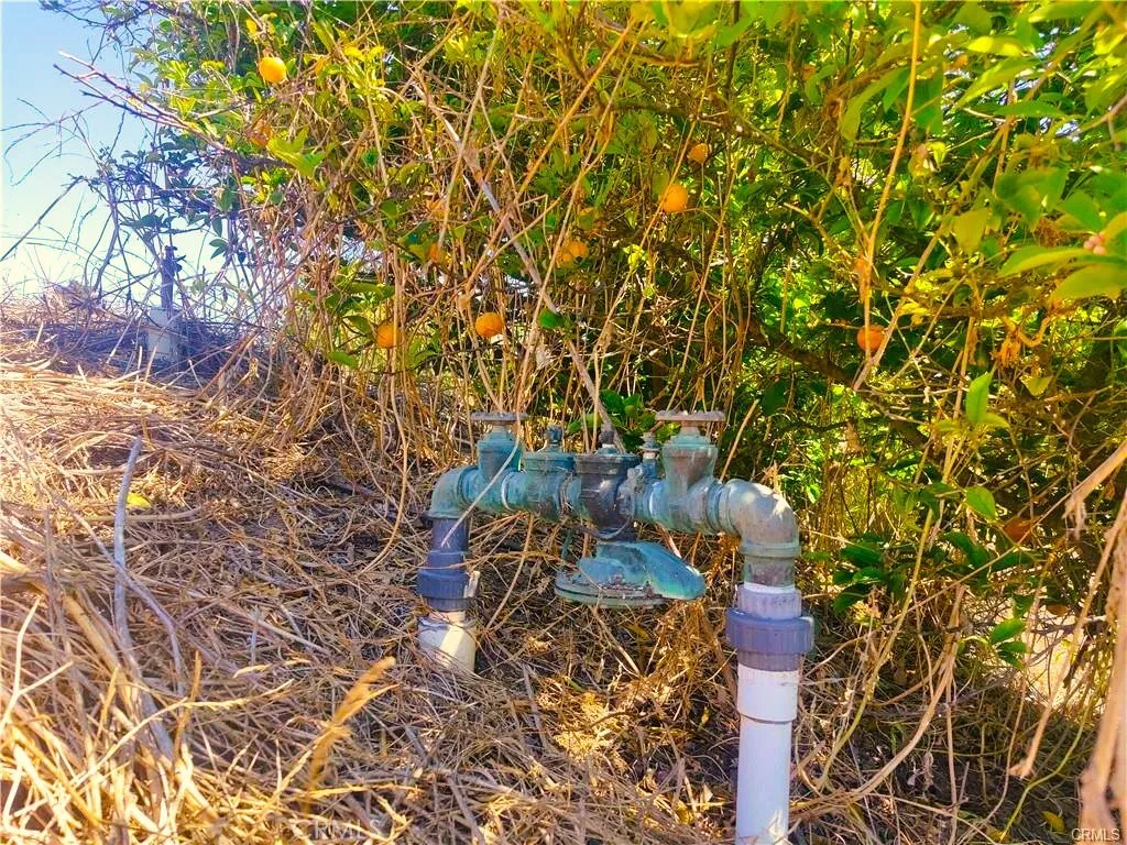 0 Indian View Drive Fallbrook, CA 92028 - Photo 14 of 18 a picture of a tree