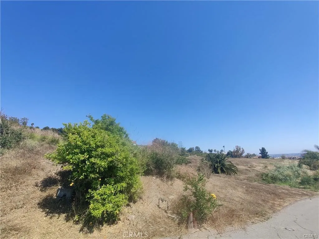 0 Indian View Drive Fallbrook, CA 92028 - Photo 16 of 18 a view of a bunch of trees in a field