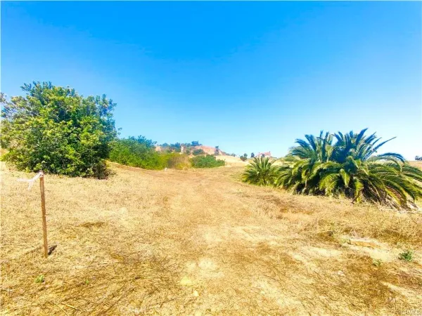 a view of a road with a trees in the background