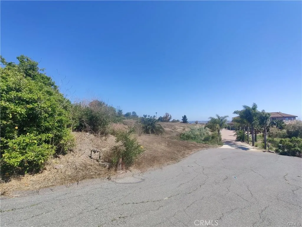 0 Indian View Drive Fallbrook, CA 92028 - Photo 4 of 18 a view of a road with a trees in the background