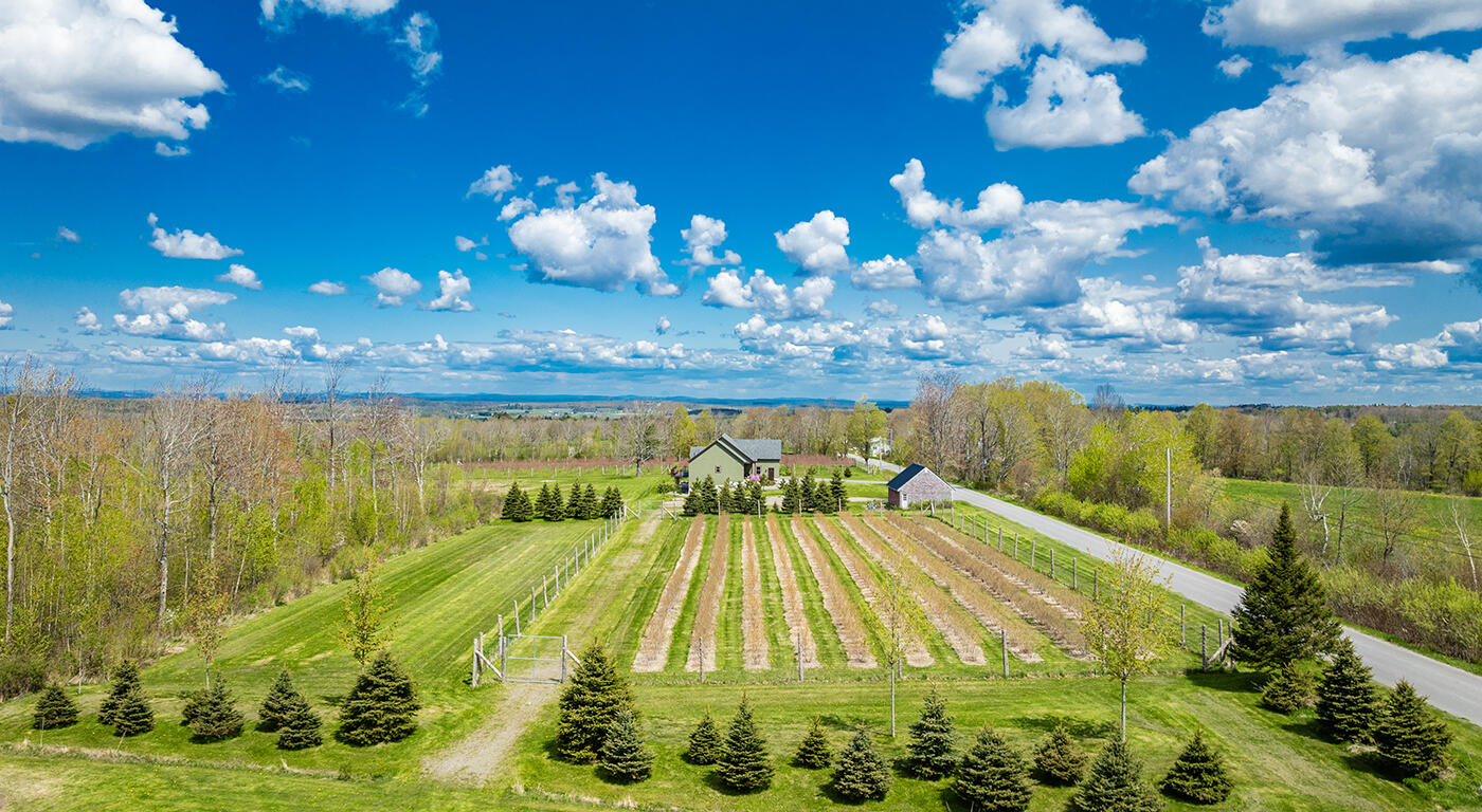 359 Bessey Ridge Road Albion, ME 04910 - Photo 10 of 50 DJI_0574