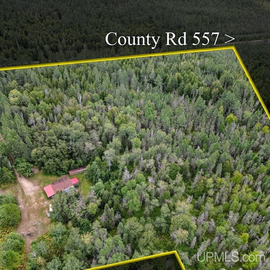 2500 County Road Arnold, MI 49819 - Photo 2 of 50 Gallery Image 2
