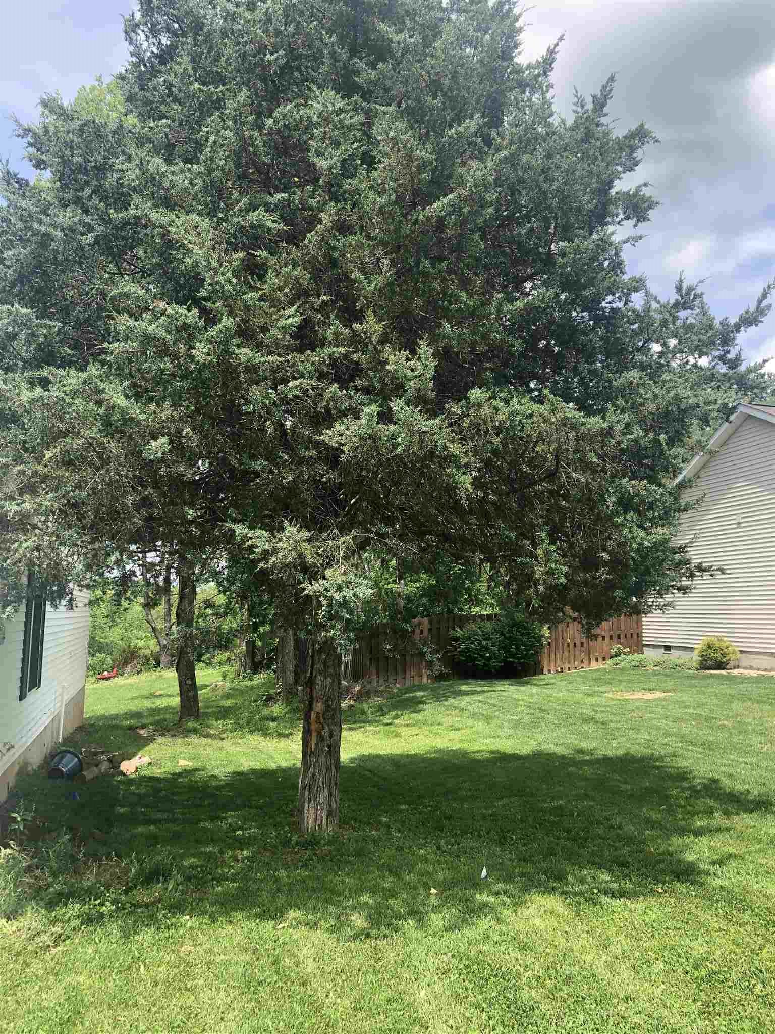 1215 Marigold Road Bloomington, IN 47401 - Photo 16 of 21 Gallery Image 16