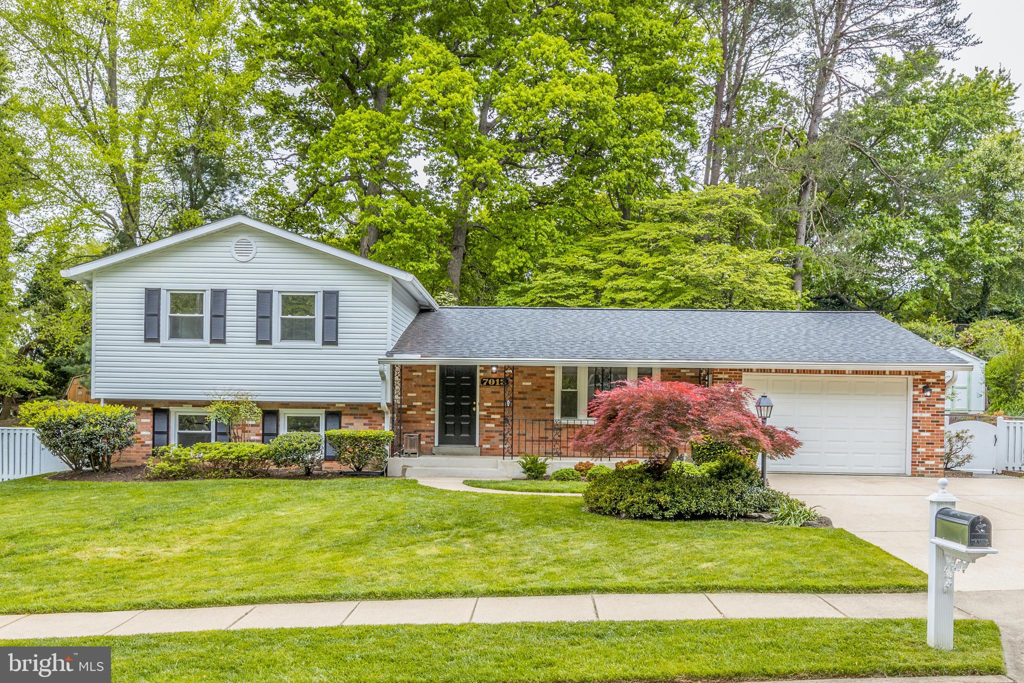 7013 Hadlow Drive Springfield, VA 22152 - Photo 1 of 50 7013 Hadlow Dr