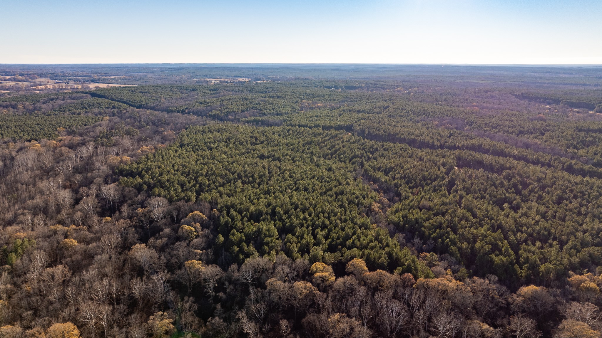 8548 Elberton Road Tignall, GA 30668 - Photo 7 of 50 a view of a big yard with lots of bushes