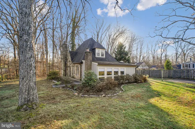 a view of a yard with a tree