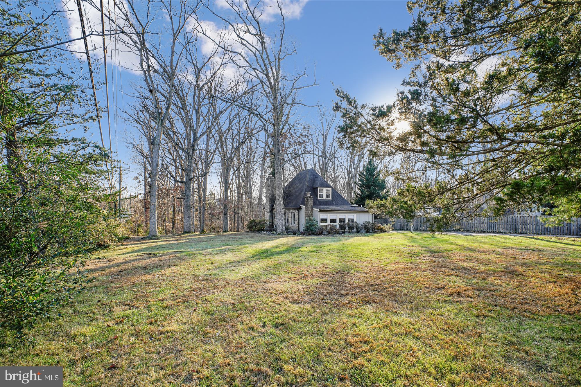 6022 Valley View Drive Alexandria, VA 22310 - Photo 29 of 50 a view of a yard with a tree