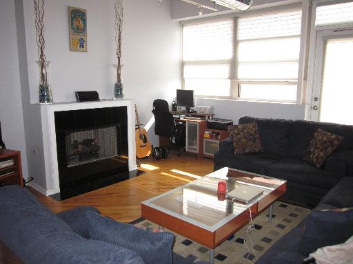 500 South Clinton Street, Unit 421 Chicago, IL 60607 - Photo 3 of 9