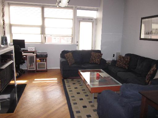 500 South Clinton Street, Unit 421 Chicago, IL 60607 - Photo 4 of 9