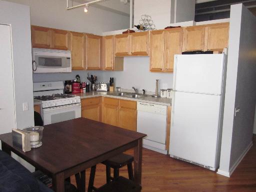 500 South Clinton Street, Unit 421 Chicago, IL 60607 - Photo 6 of 9