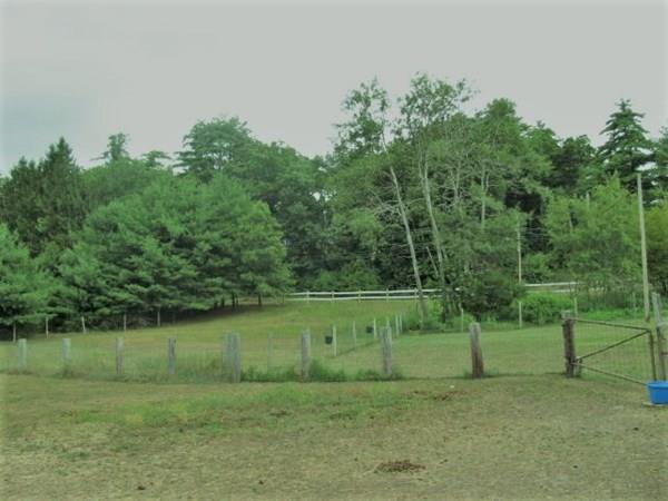 283 Wales Road Monson, MA 01057 - Photo 8 of 17