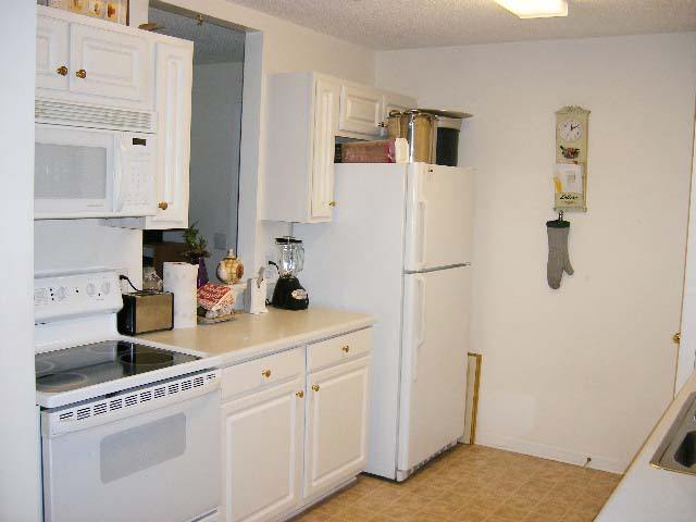 304 Pelham Square Way Greer, SC 29650 - Photo 3 of 4 Gallery Image 3