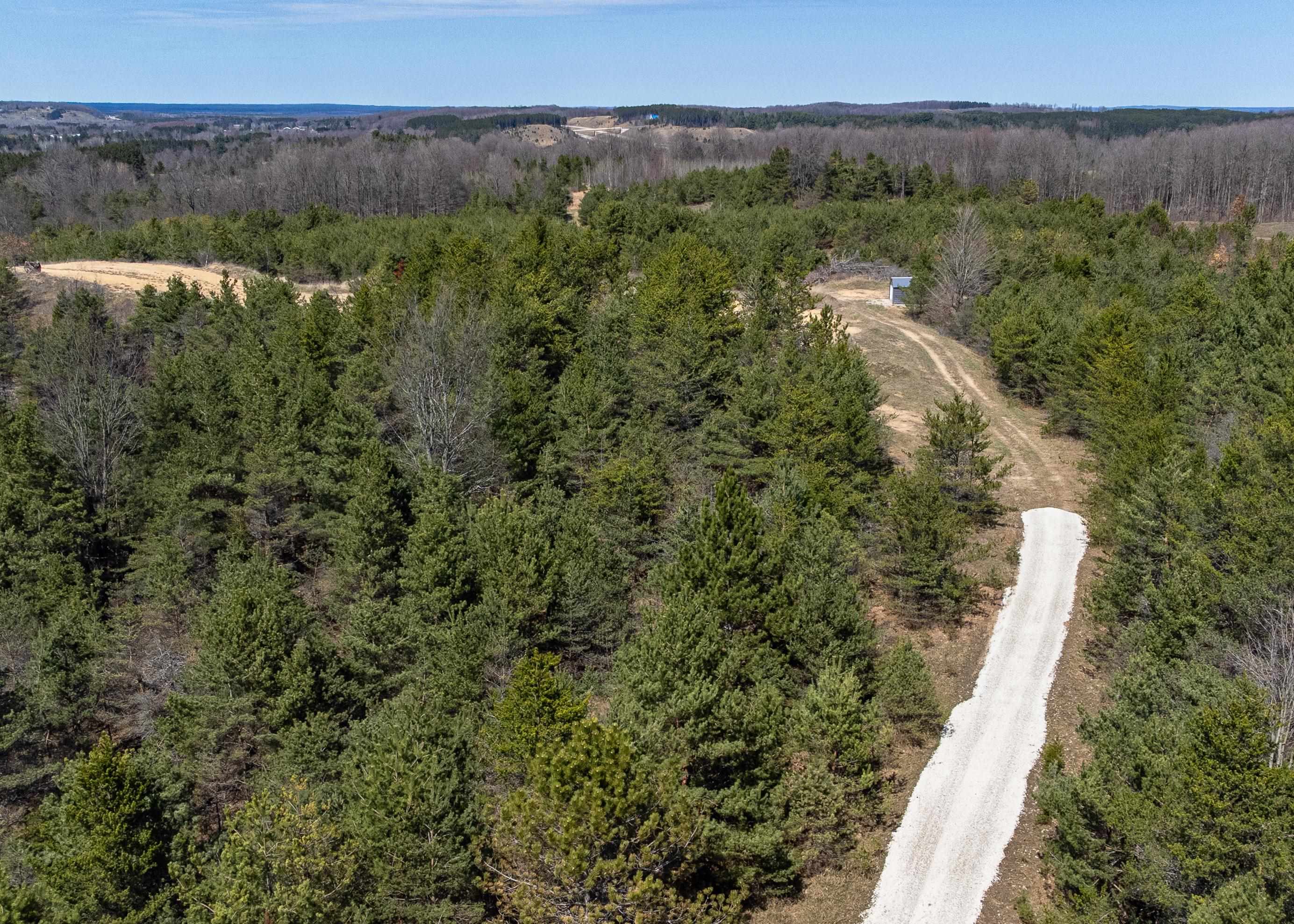 18 East 1/2 Road Manton, MI 49663 - Photo 3 of 13