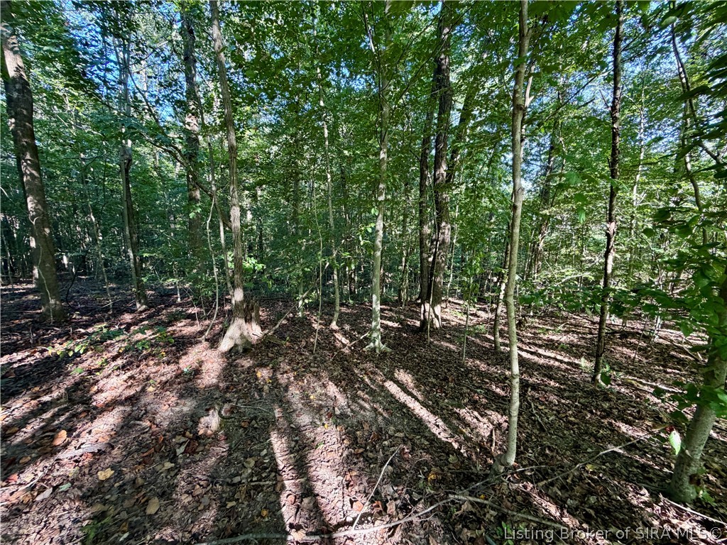 South Big Springs Road Pekin, IN 47165 - Photo 6 of 24 Gallery Image 6