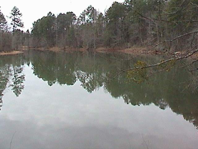 2 Aleja Point Martin, GA 30557 - Photo 1 of 1