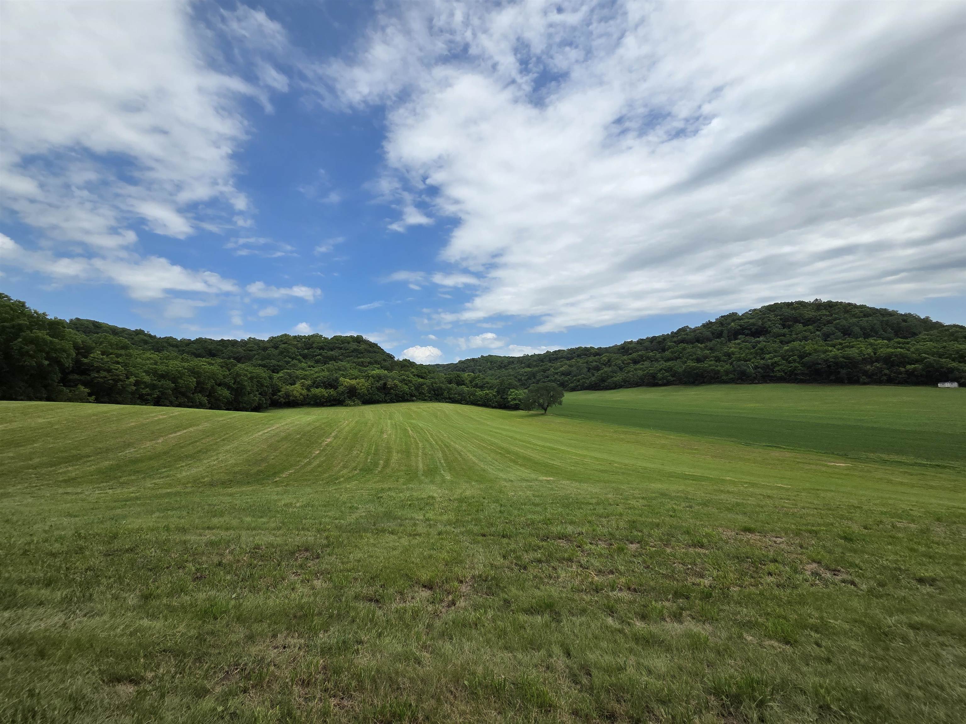 32747 State Highway Muscoda, WI 53573 - Photo 58 of 83