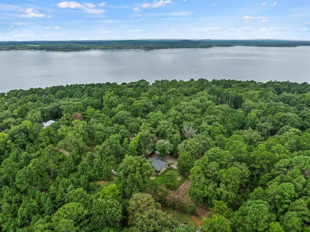 a view of a large body of water surrounded by trees