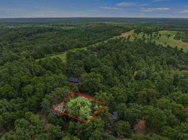 an aerial view of residential houses with outdoor space and trees