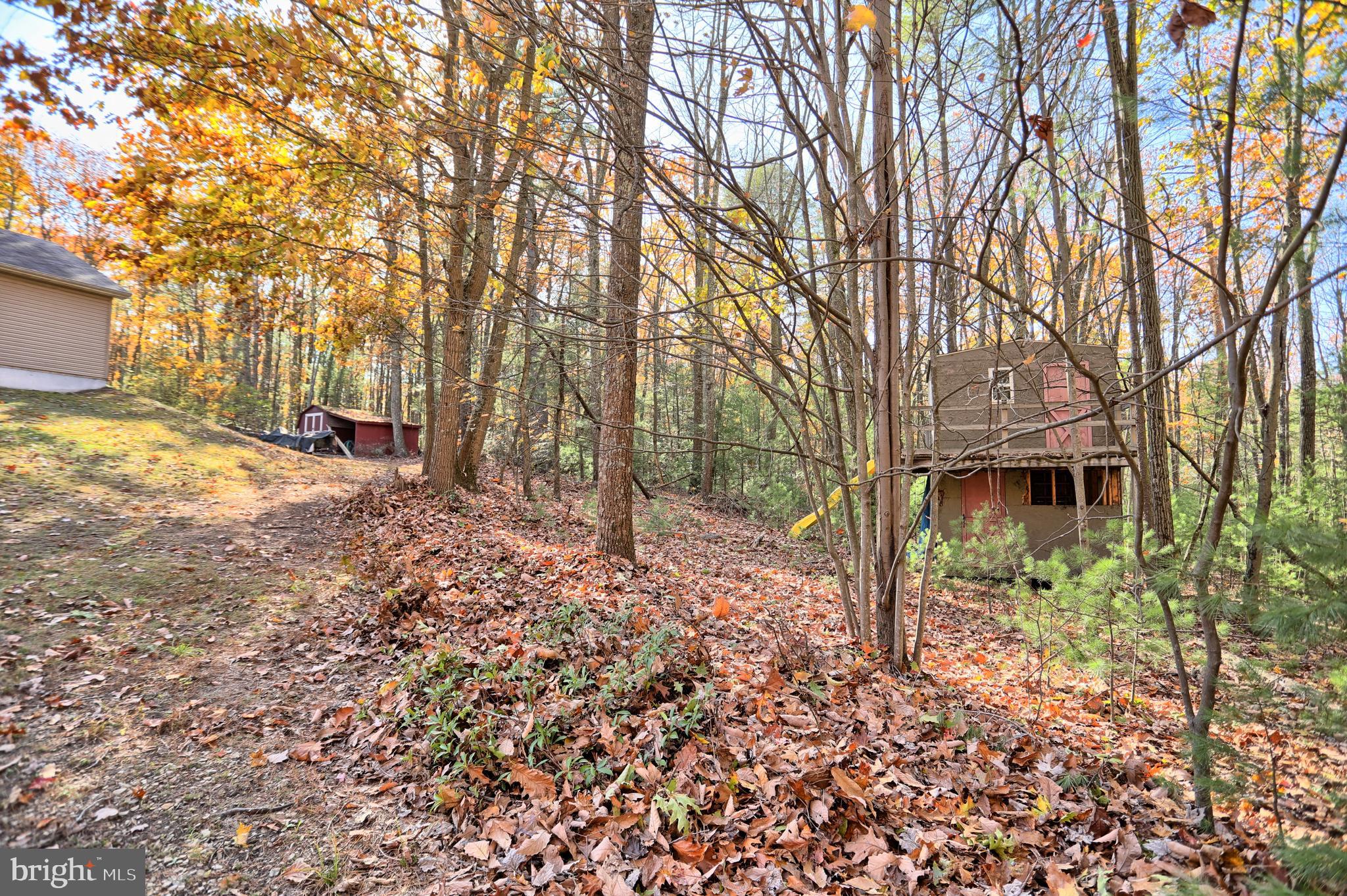 1408 Peach Ridge Road Elliottsburg, PA 17024 - Photo 14 of 50 Gallery Image 14