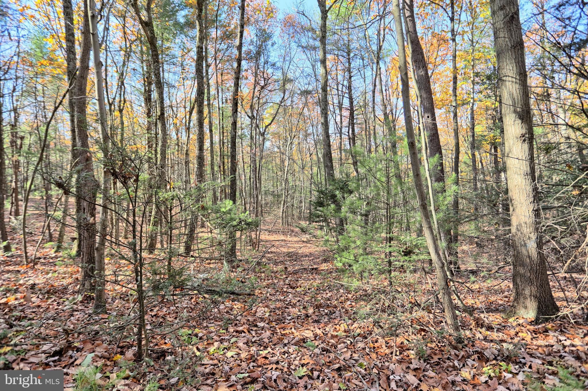 1408 Peach Ridge Road Elliottsburg, PA 17024 - Photo 16 of 50 Gallery Image 16