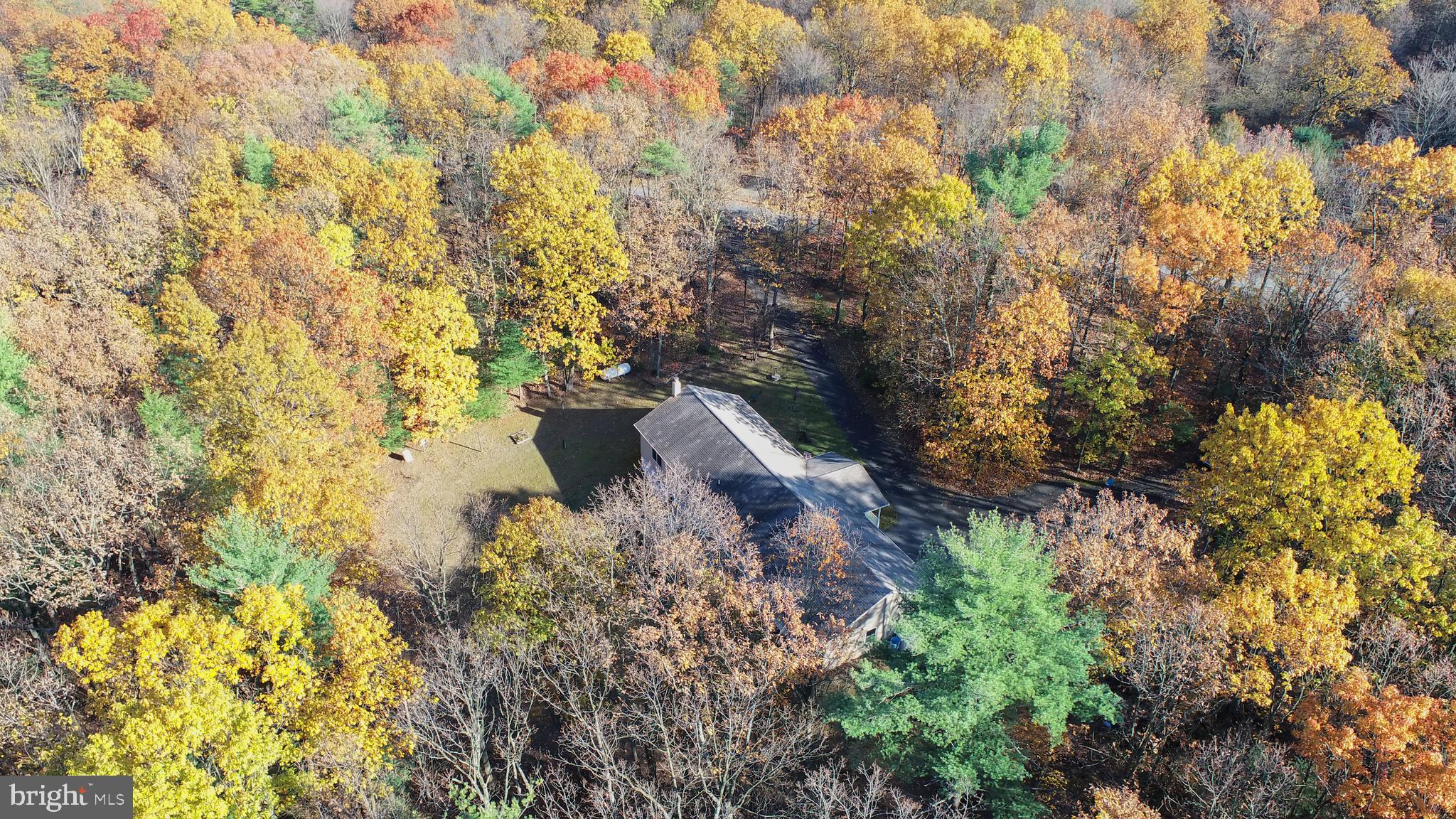 1408 Peach Ridge Road Elliottsburg, PA 17024 - Photo 46 of 50 Gallery Image 46