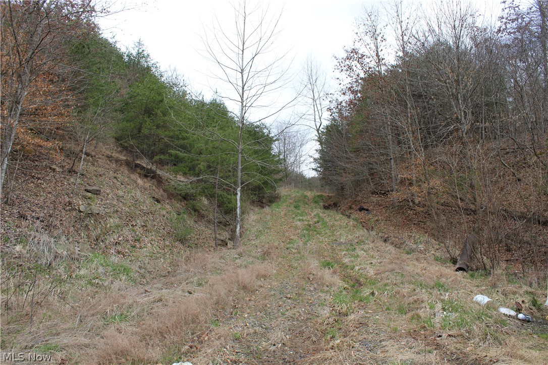 4801 Munday Road Elizabeth, WV 26143 - Photo 4 of 7