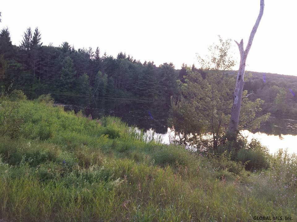 1070 Rt 411 Westerlo, NY 12193 - Photo 16 of 17 Photo 16