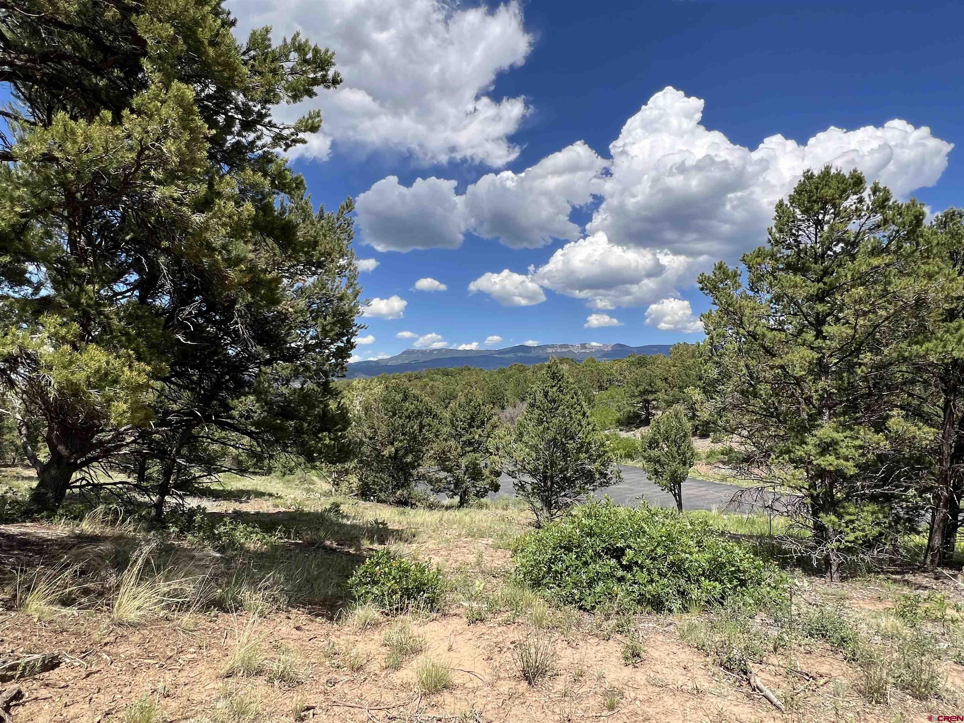 Lot 9 Pointe Escape Drive Ridgway, CO 81432 - Photo 22 of 33