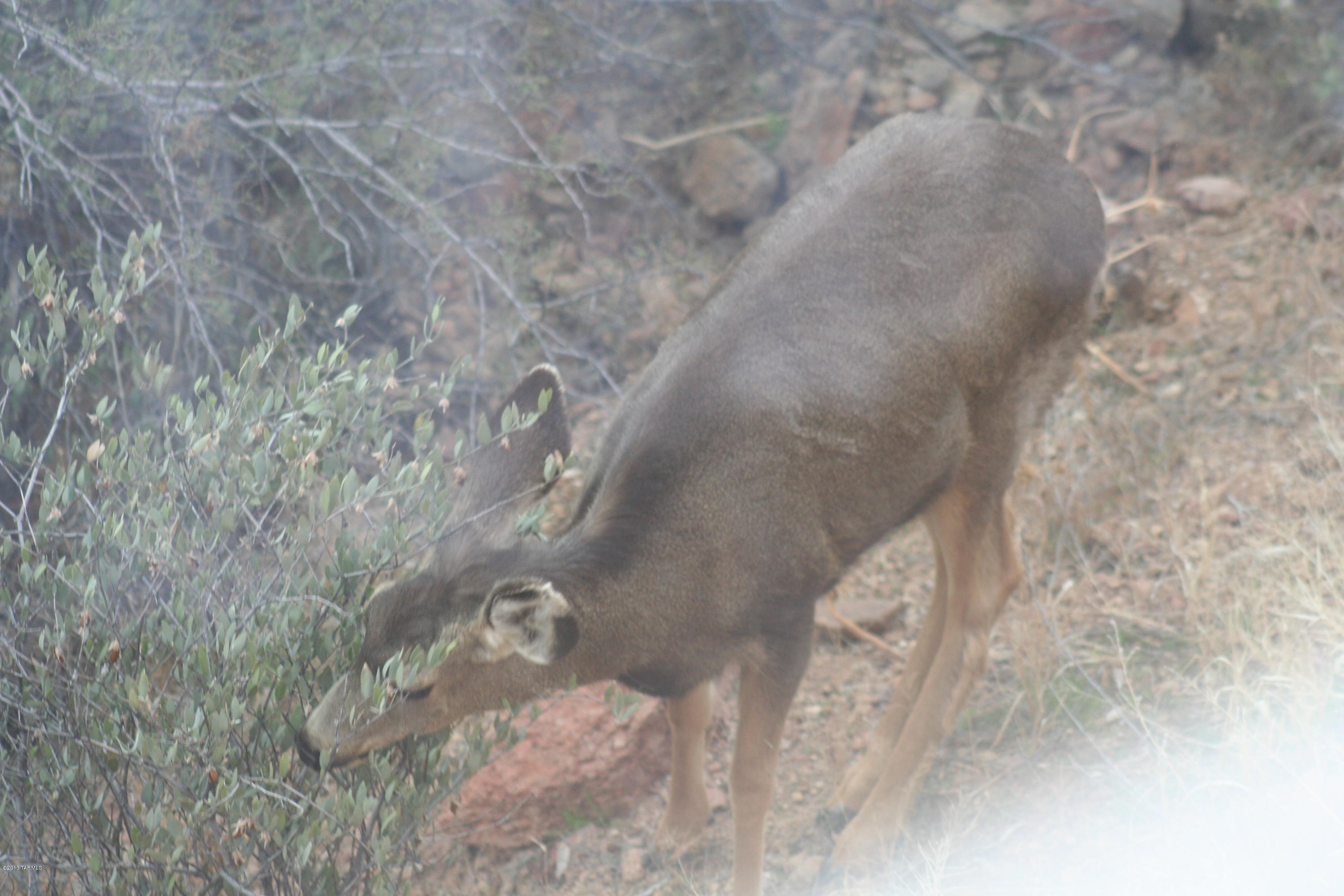 6231 West Trails End Road Tucson, AZ 85745 - Photo 20 of 31 Gallery Image 20