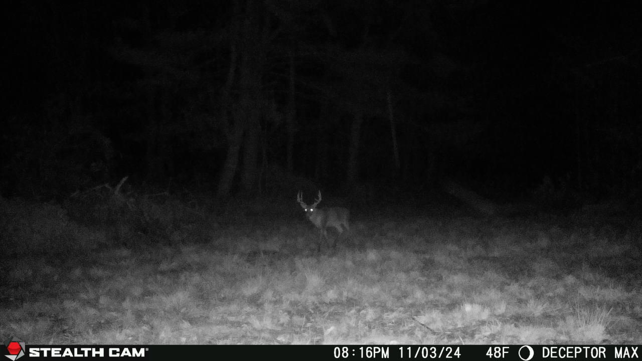 57.71 East Hansen Road Custer, MI 49405 - Photo 12 of 41 2024110320162601000063_219519348702821