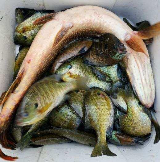 57.71 East Hansen Road Custer, MI 49405 - Photo 8 of 41 Resized_20230701_204423