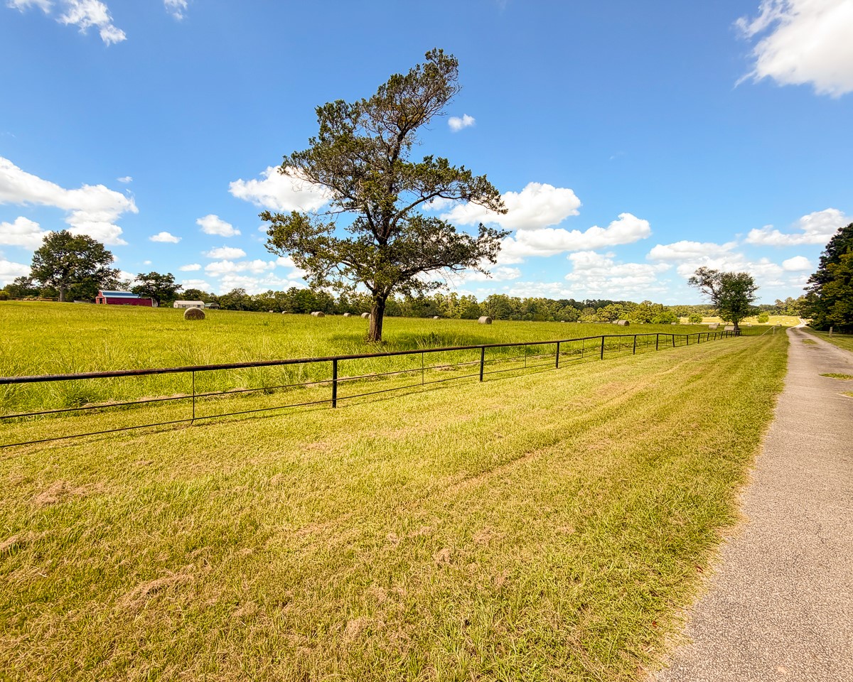 567 Tamie Lowe Road Moscow, TX 75960 - Photo 41 of 50 Gallery Image 41