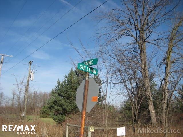 O Capac Road Capac, MI 48014 - Photo 1 of 1