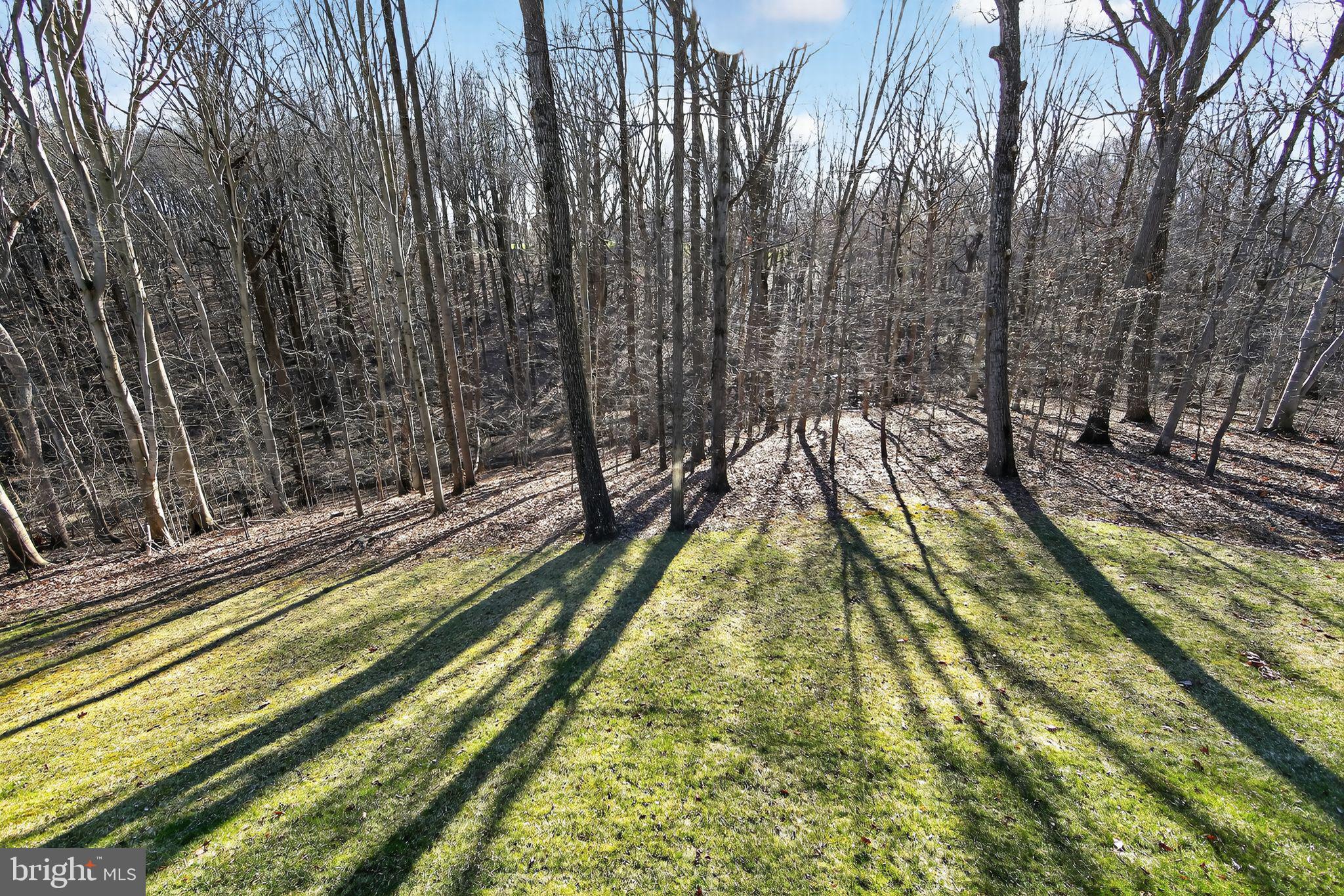 1311 Richmond Place Downingtown, PA 19335 - Photo 54 of 76