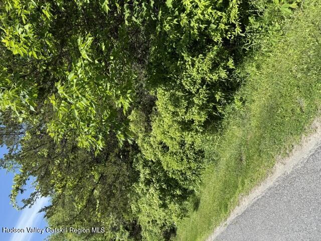 499 Sleepy Hollow Road Athens, NY 12015 - Photo 3 of 7 a view of a lush green forest