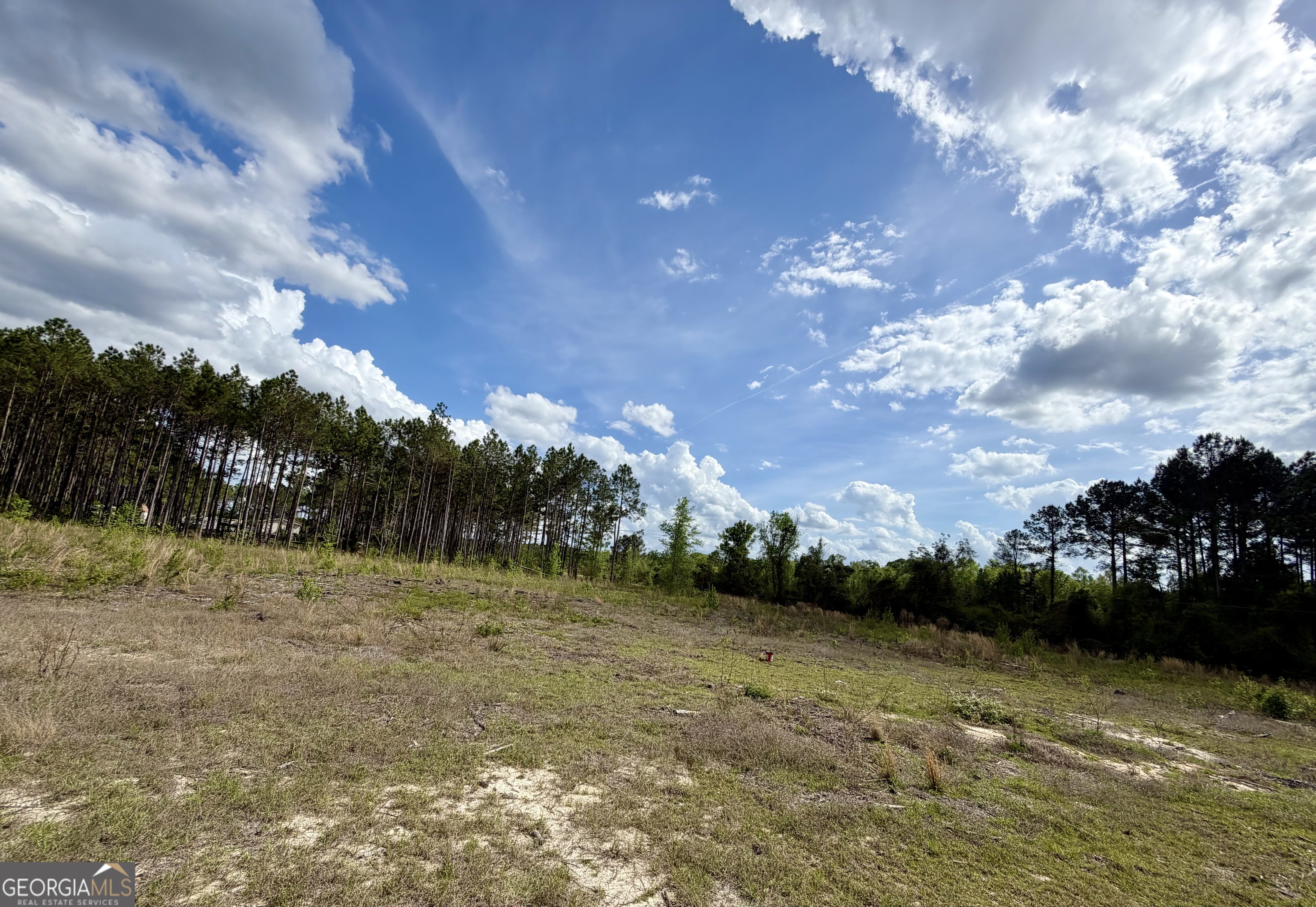 0 Graham Road Cadwell, GA 31009 - Photo 2 of 8