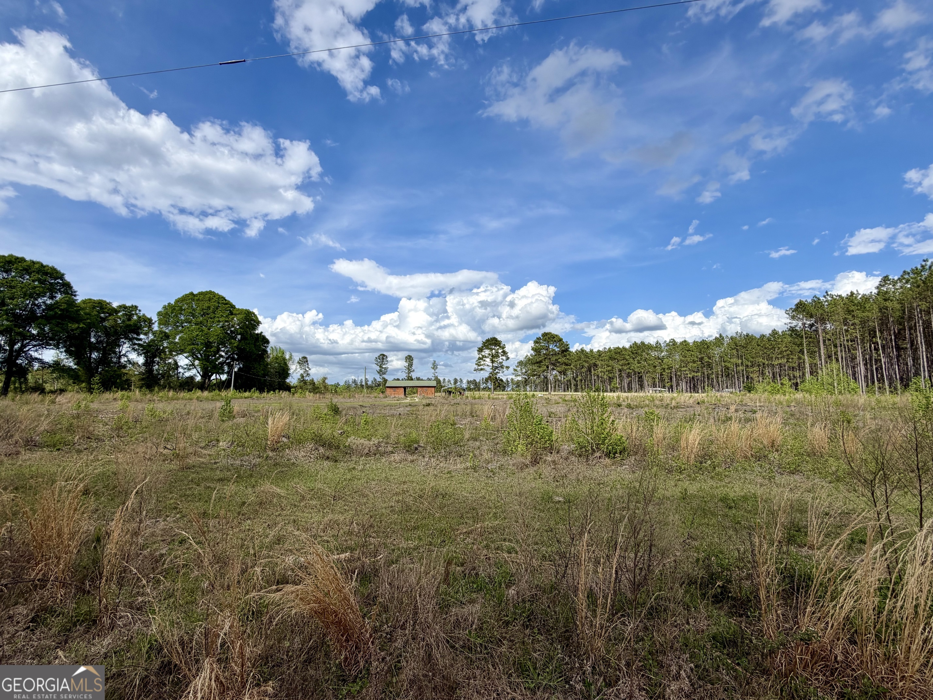 0 Graham Road Cadwell, GA 31009 - Photo 6 of 8