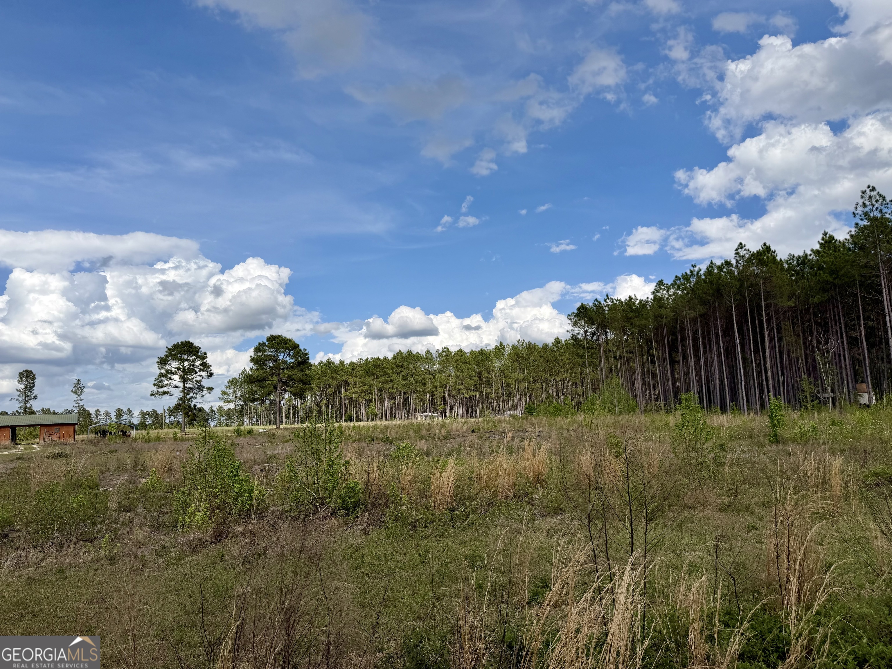 0 Graham Road Cadwell, GA 31009 - Photo 7 of 8