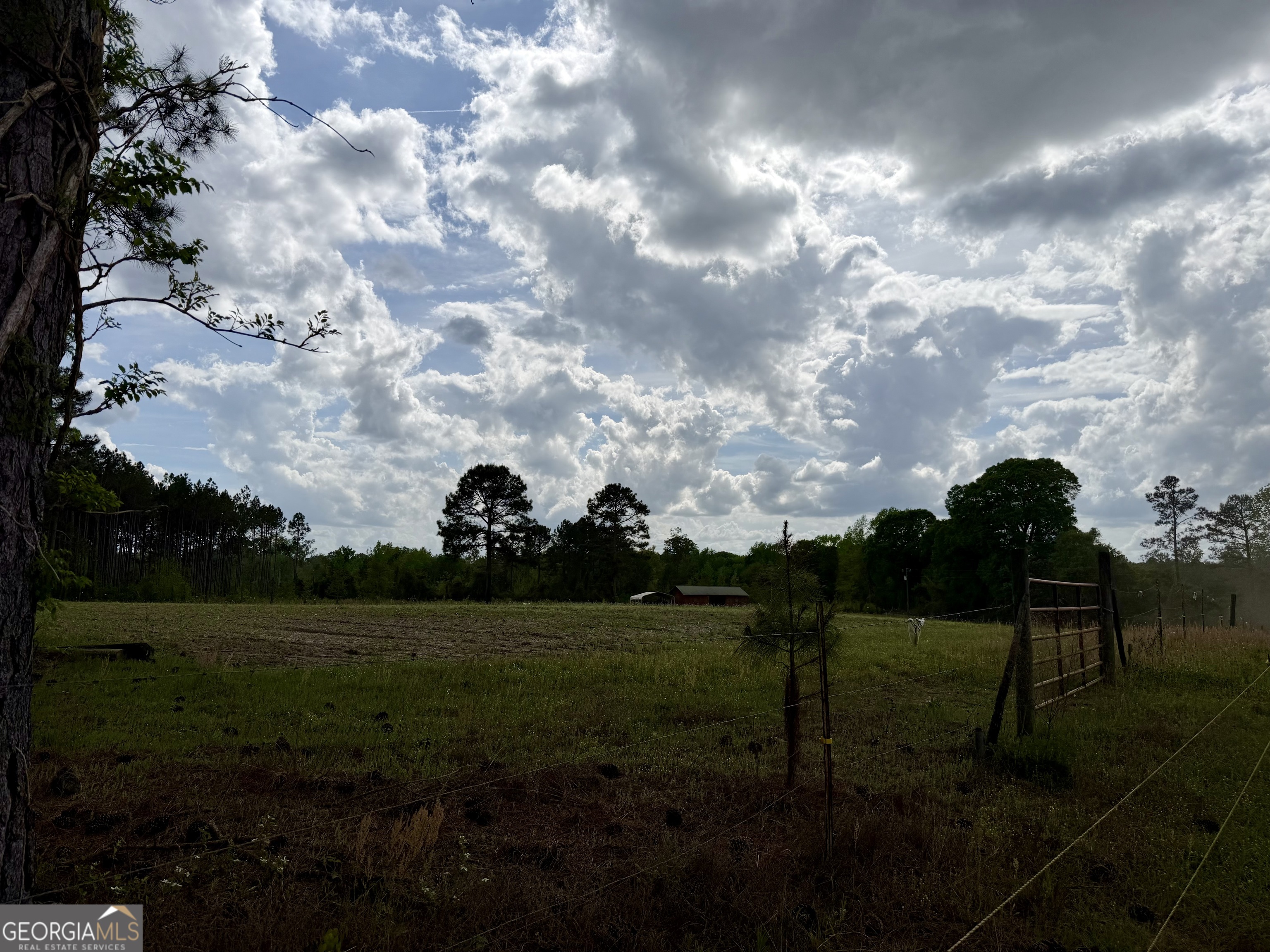 0 Graham Road Cadwell, GA 31009 - Photo 8 of 8