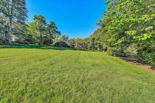 a view of field with trees in the background