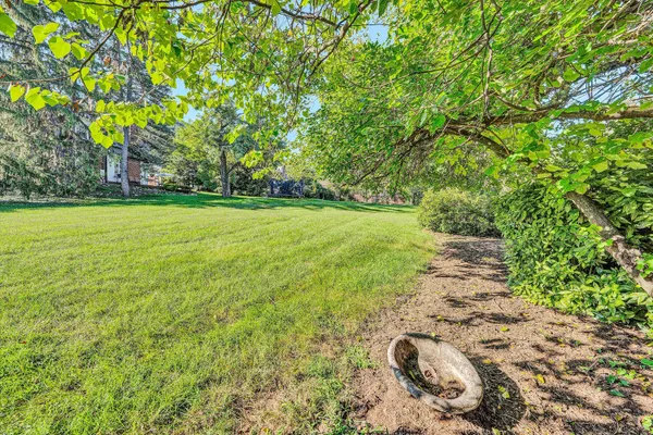 a view of a field with an trees