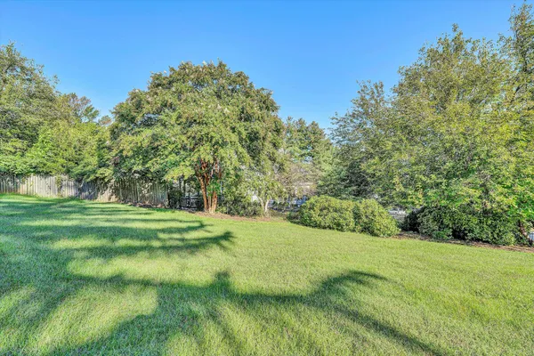a view of a grassy field with trees