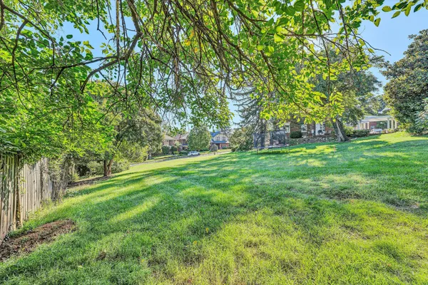 a green field with lots of trees in it