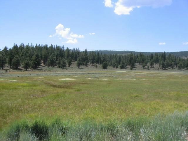 13630 Russell Valley Road Truckee, CA 96161 - Photo 2 of 5