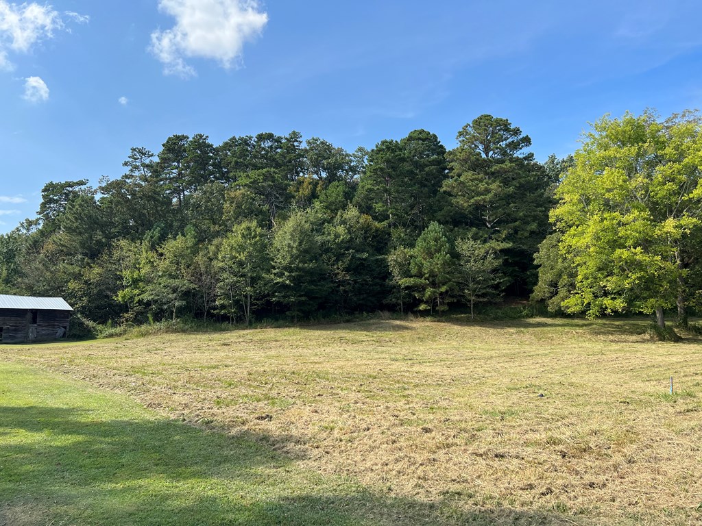 Lot 2 Apison Road Cohutta, GA 30710 - Photo 3 of 5 Gallery Image 3