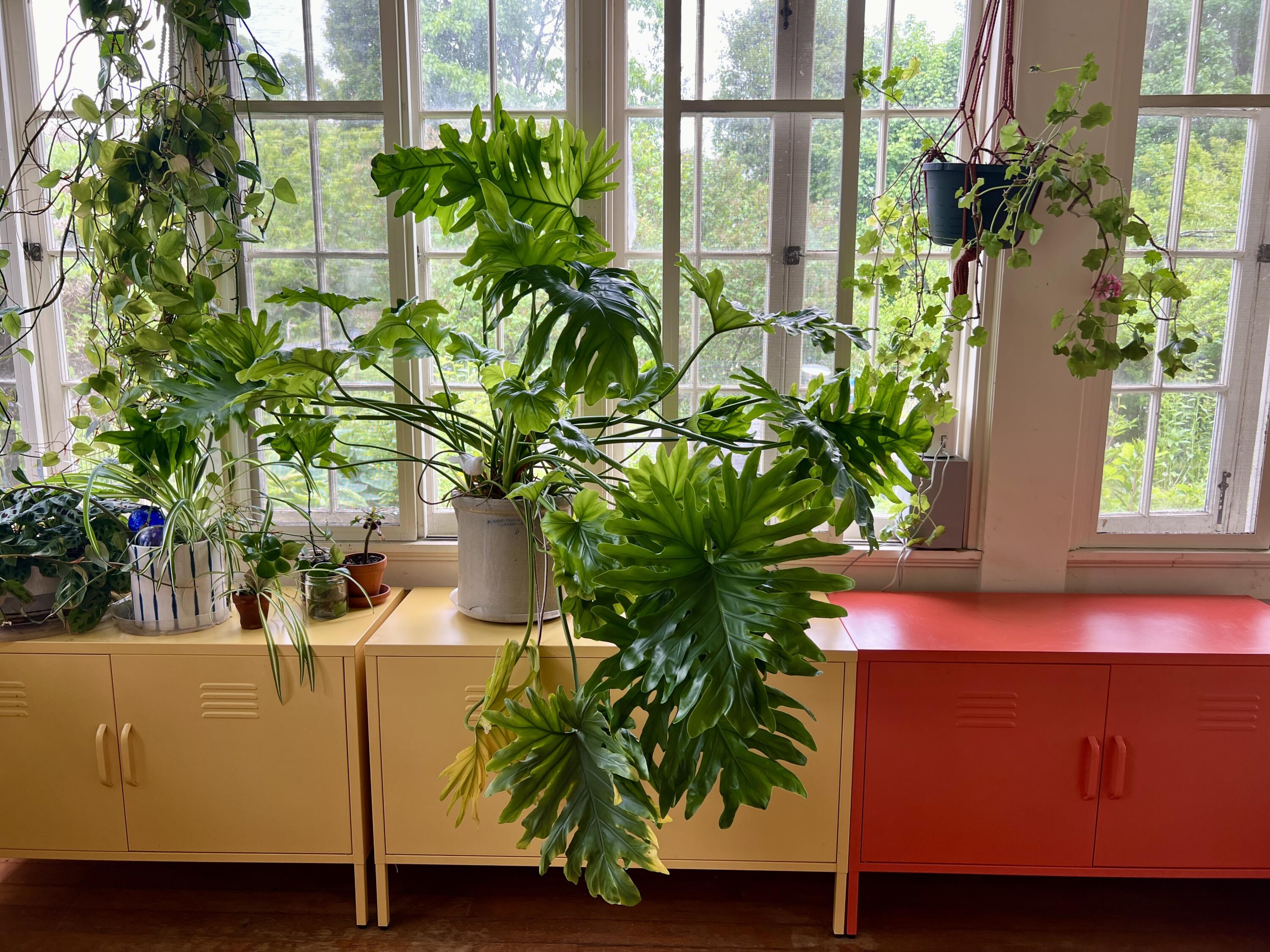 664 River Road Orrington, ME 04474 - Photo 39 of 94 IMG_9184