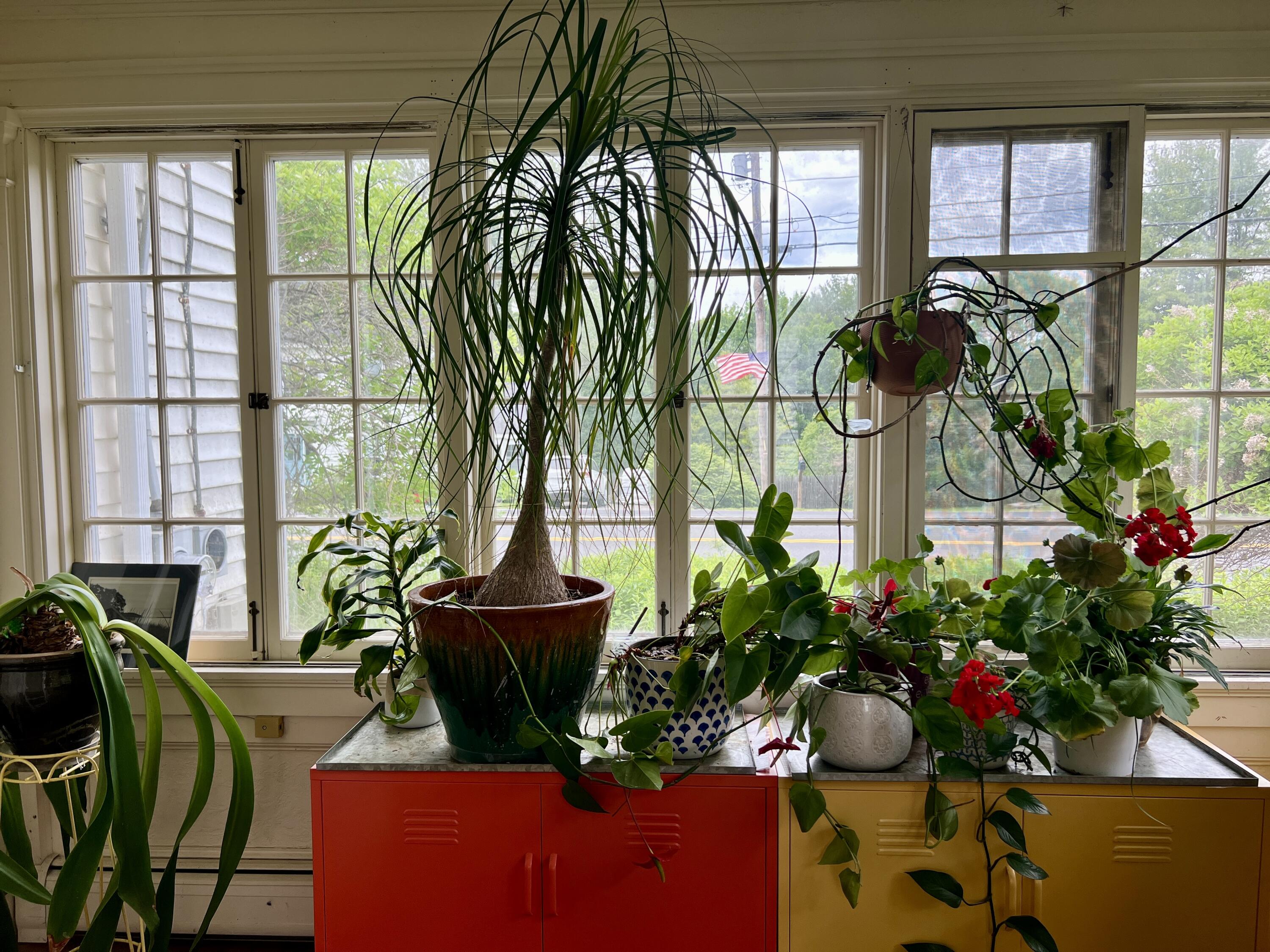 664 River Road Orrington, ME 04474 - Photo 40 of 94 IMG_9183