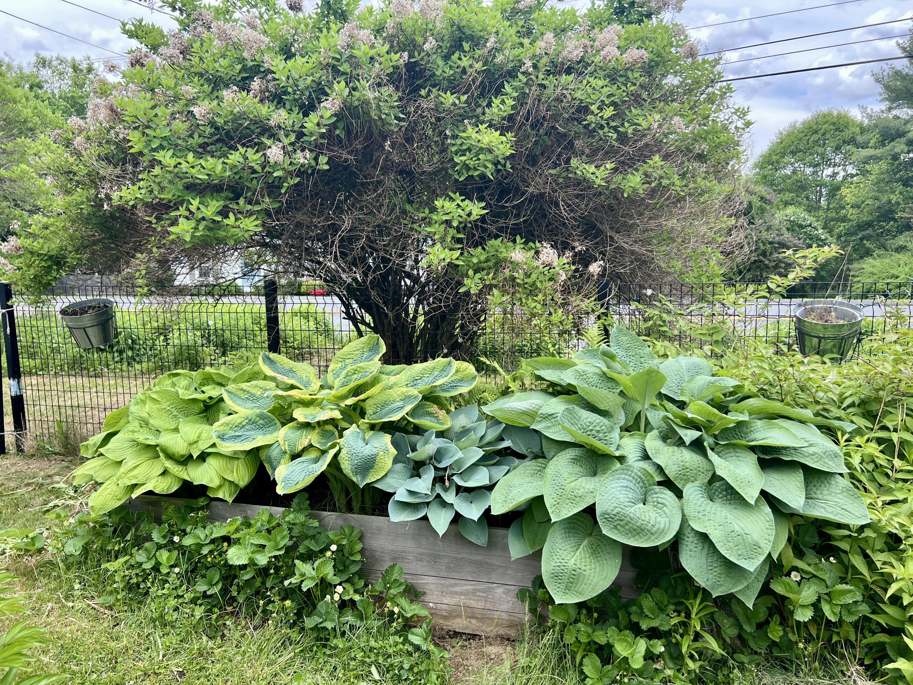 664 River Road Orrington, ME 04474 - Photo 85 of 94 IMG_9192