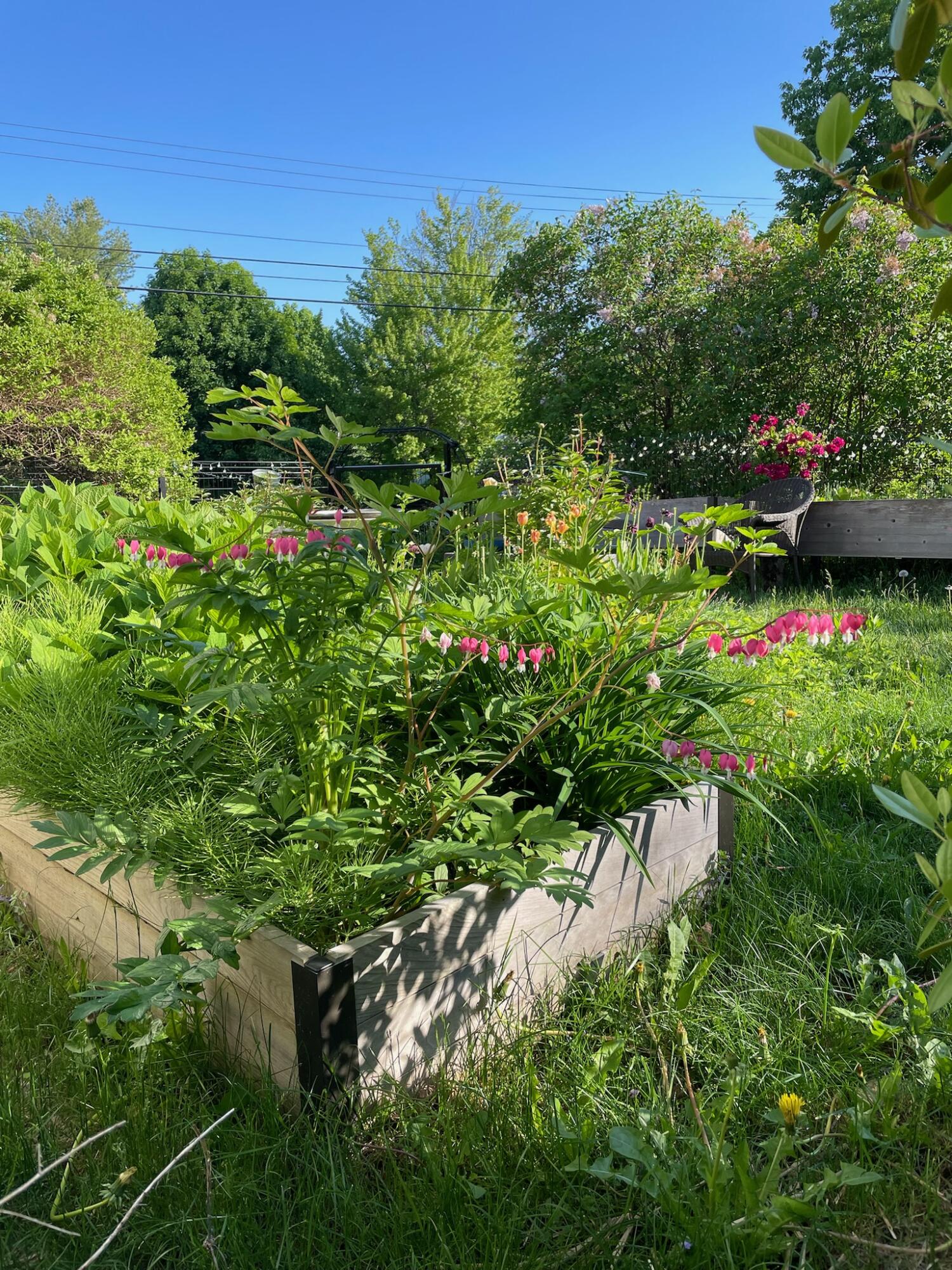 664 River Road Orrington, ME 04474 - Photo 87 of 94 IMG_6763