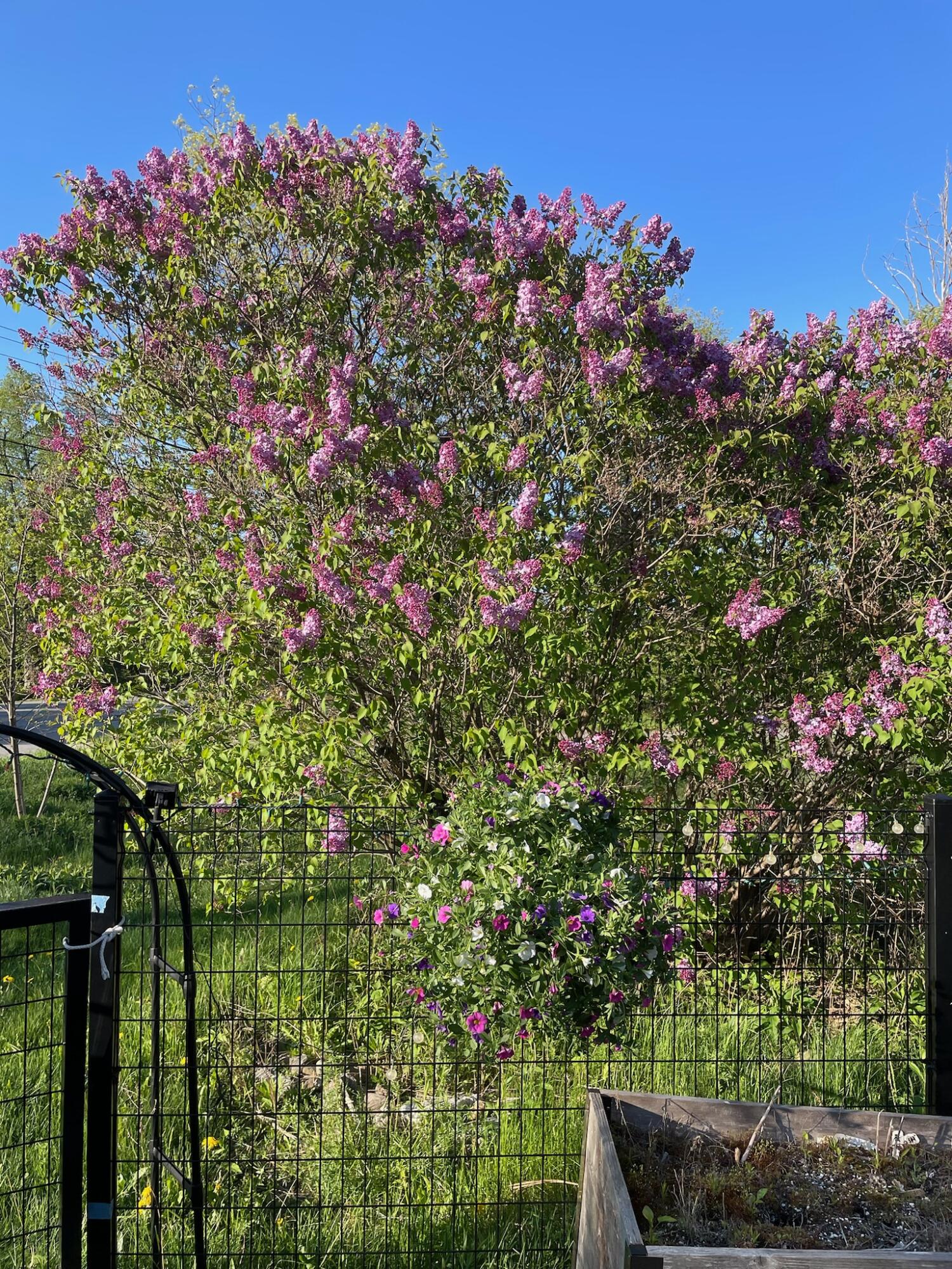 664 River Road Orrington, ME 04474 - Photo 89 of 94 70579466205__FFAA5818-B4BE-4672-93A5-CE2